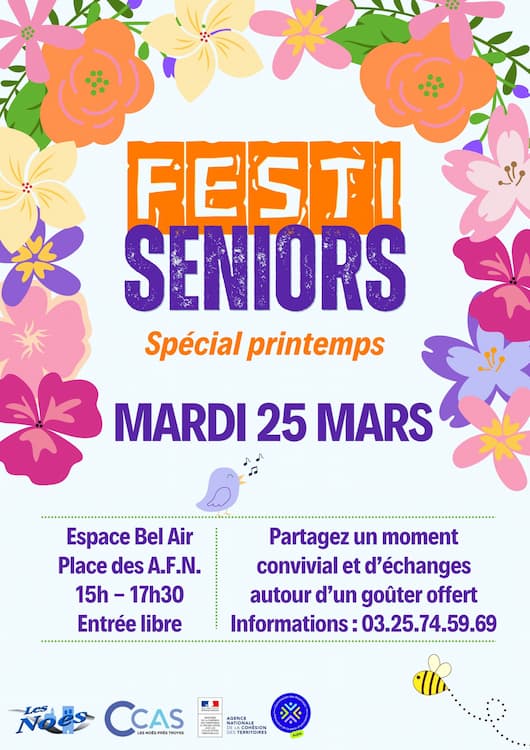 affiche festi senior 2025 lesnoes